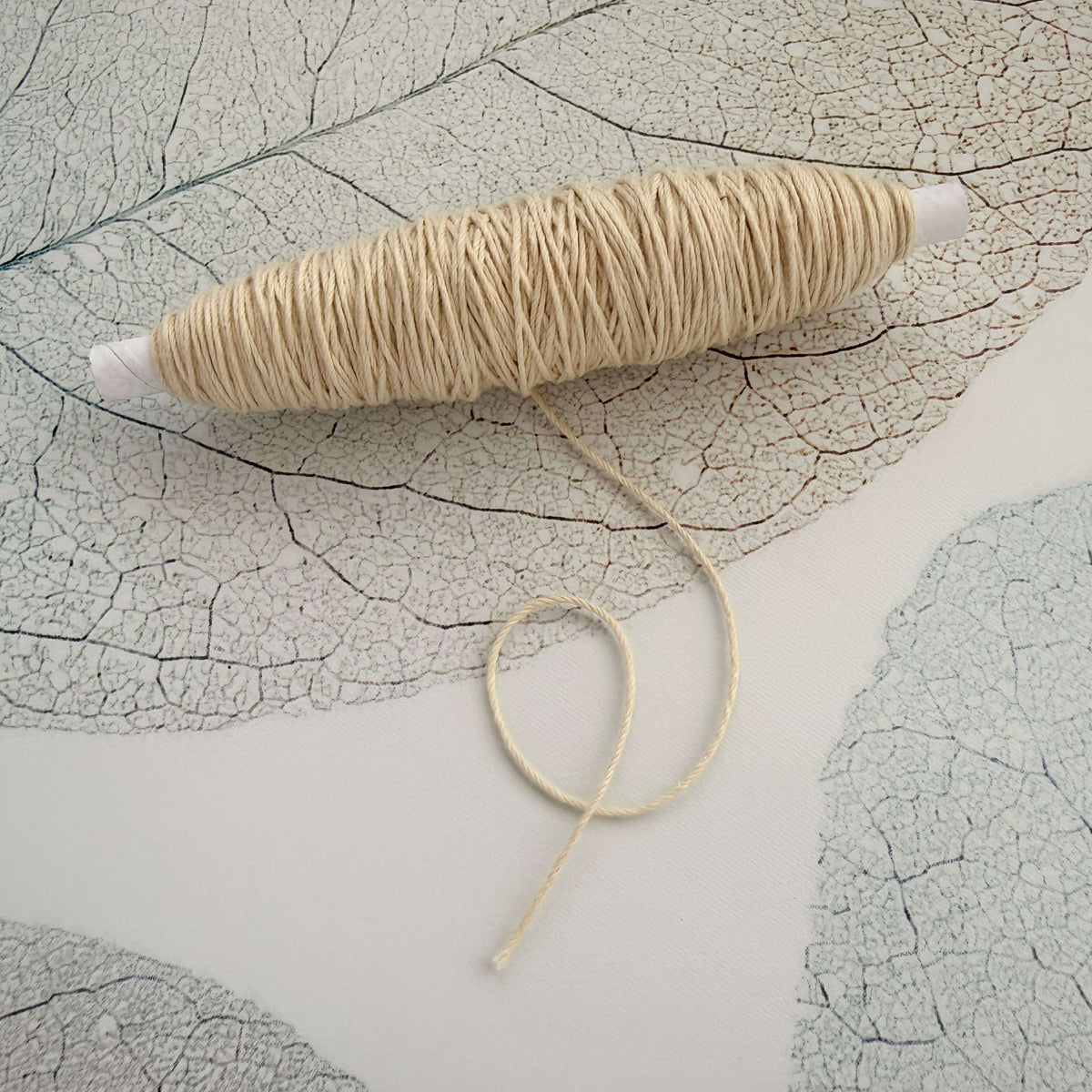 8/4 Cotton Warp Yarn - Small Cone - Natural and Colors